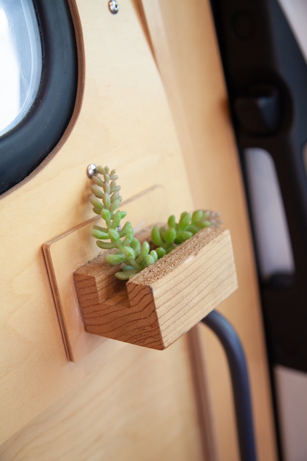 A succulent planter built into the Wheely Clean van interior