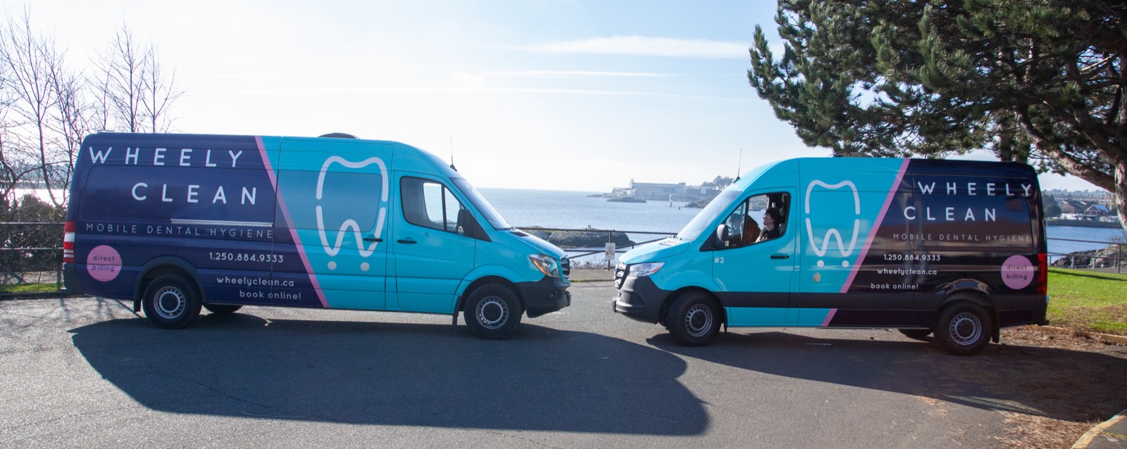 Two Wheely Clean vans in Greater Victoria